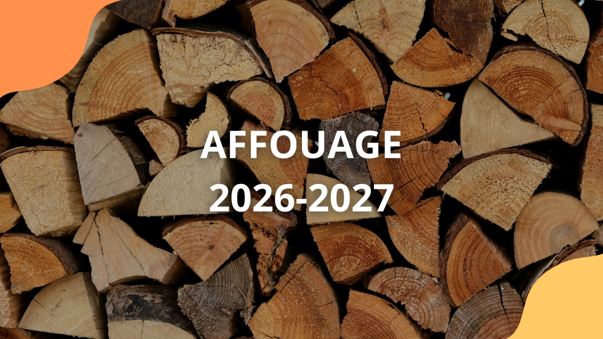 Affouage 2026-2027