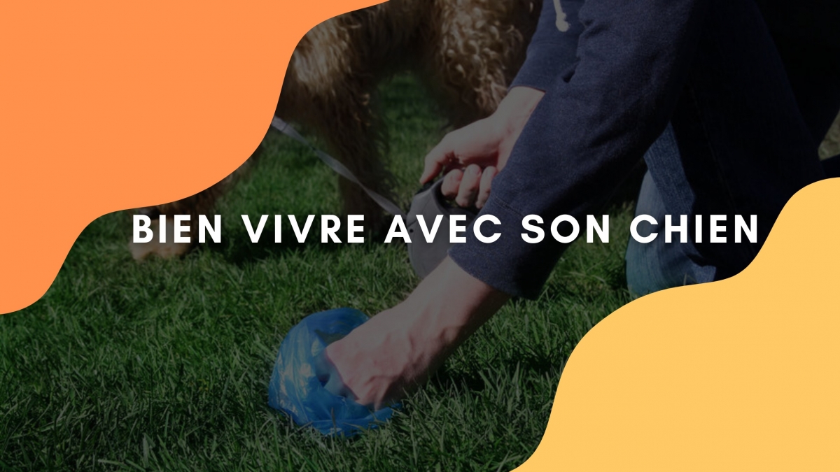 BIEN VIVIRE AVEC SON CHIEN