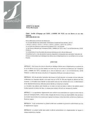 ARR2026-08-20-135 Arrêté d'élagage par SARL l'arbre en tête - rue de Berne - rue des essarts